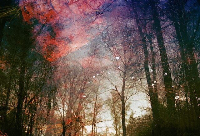 Magical-Double-Exposure-in-The-Forest-12