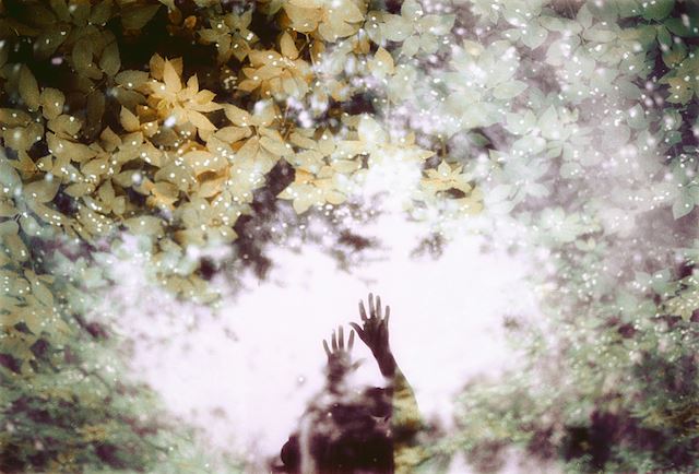 Magical-Double-Exposure-in-The-Forest-14