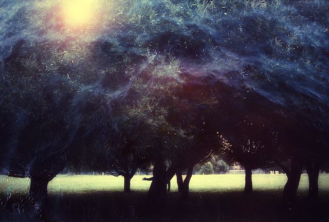 Magical-Double-Exposure-in-The-Forest-16