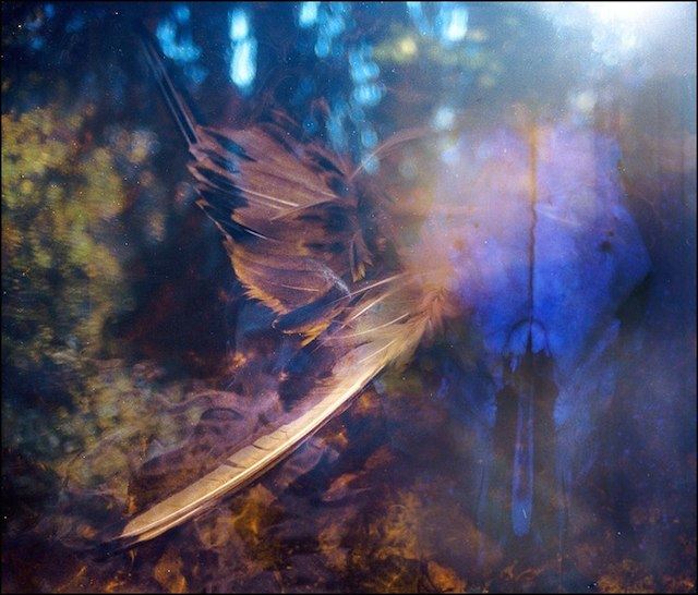 Magical-Double-Exposure-in-The-Forest-22b