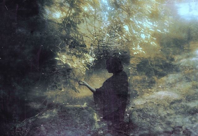 Magical-Double-Exposure-in-The-Forest-26