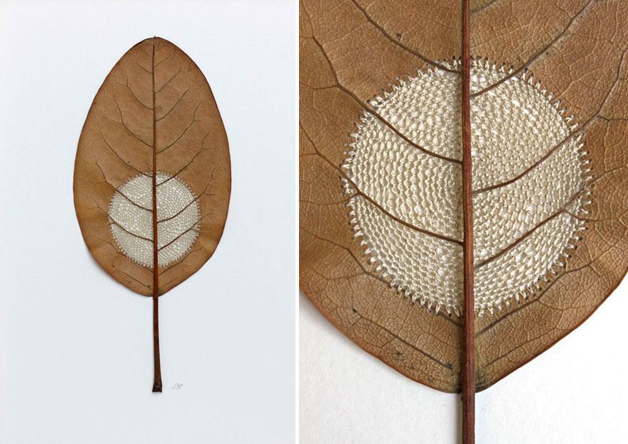 crocheted-leaf-art-susanna-bauer-5
