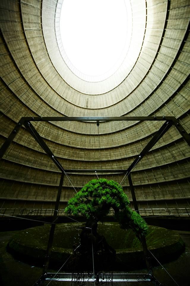 shiki-bonsai-power-station-belgium-IM-4